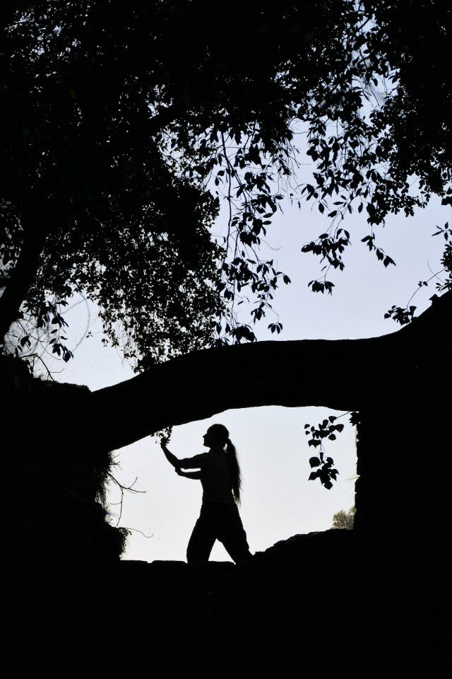 Méditation Soleil - Tai Chi et Tao de l'éveil