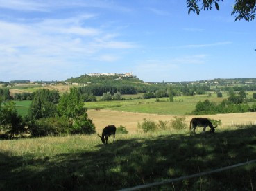 En pleine nature mais à 3 km du village