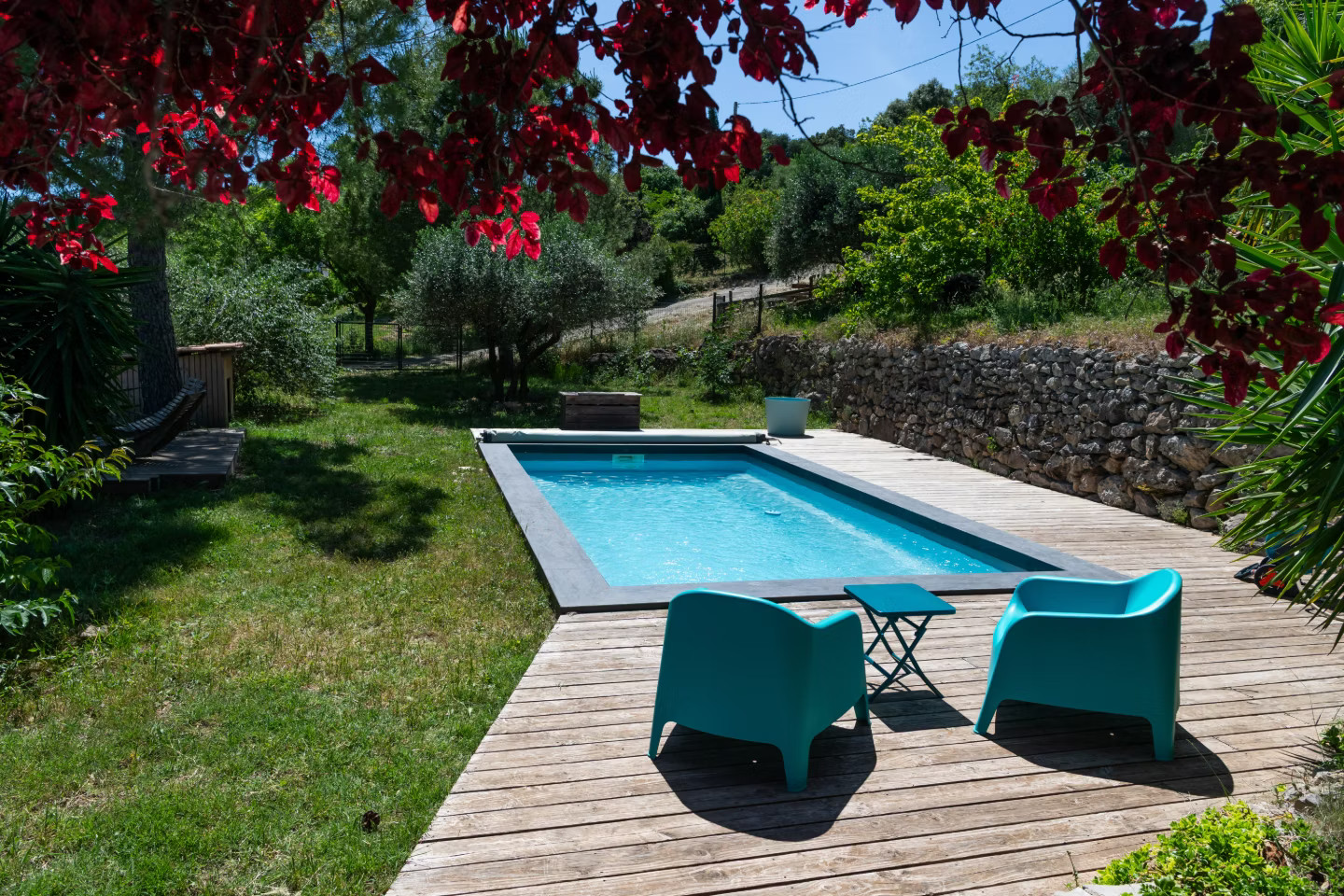 Piscine dans un écrin de verdure