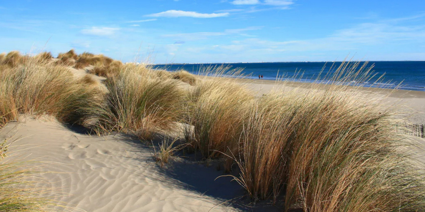 Dunes sauvages & Plages du Travers : immersion nature