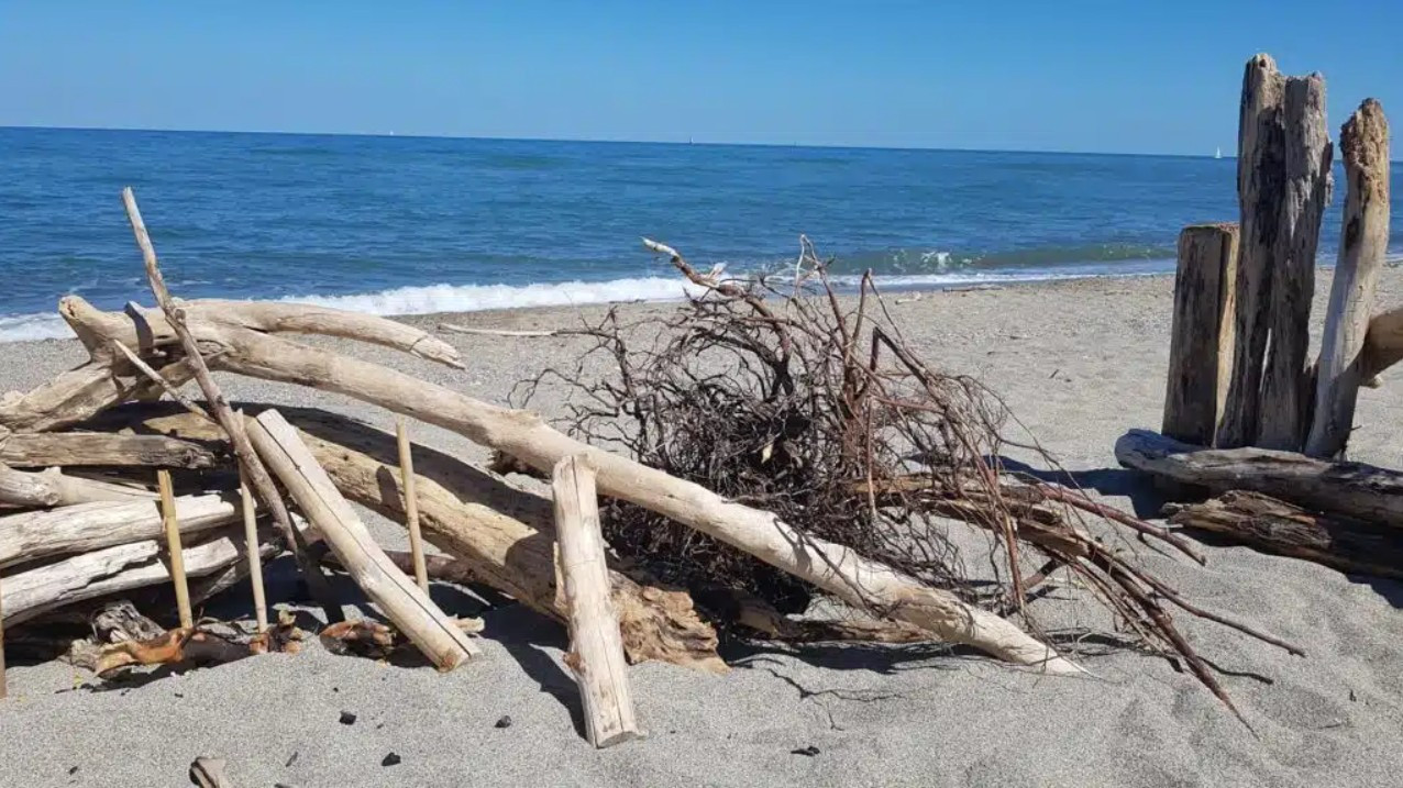 Plage sauvage