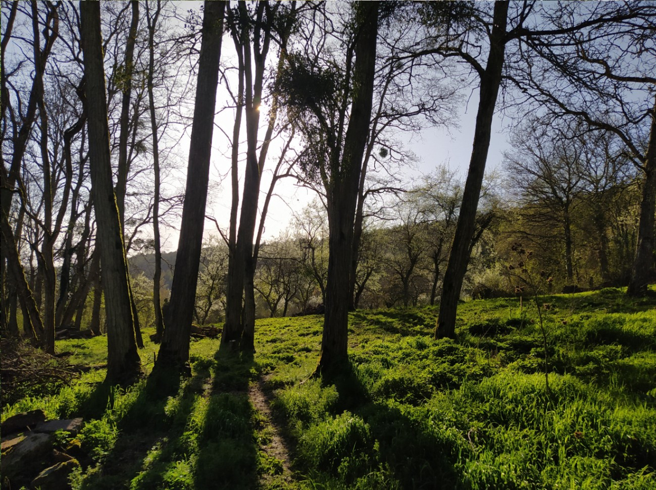 Au coeur de la Nature