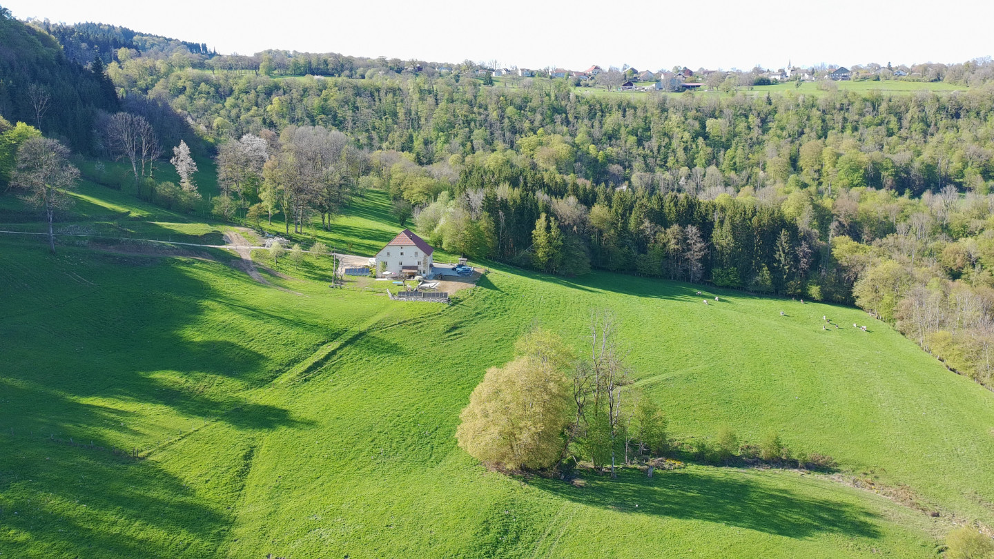 Imaginez une maison sans aucun voisin, où le luxe se mesure au silence et à l'espace.  Ecoutez la nature ! Entièrement rénovée, cette bâtisse de 1791 allie le charme de l'ancien au défi de demain : ici, vous vivez en totale autonomie énergétique.