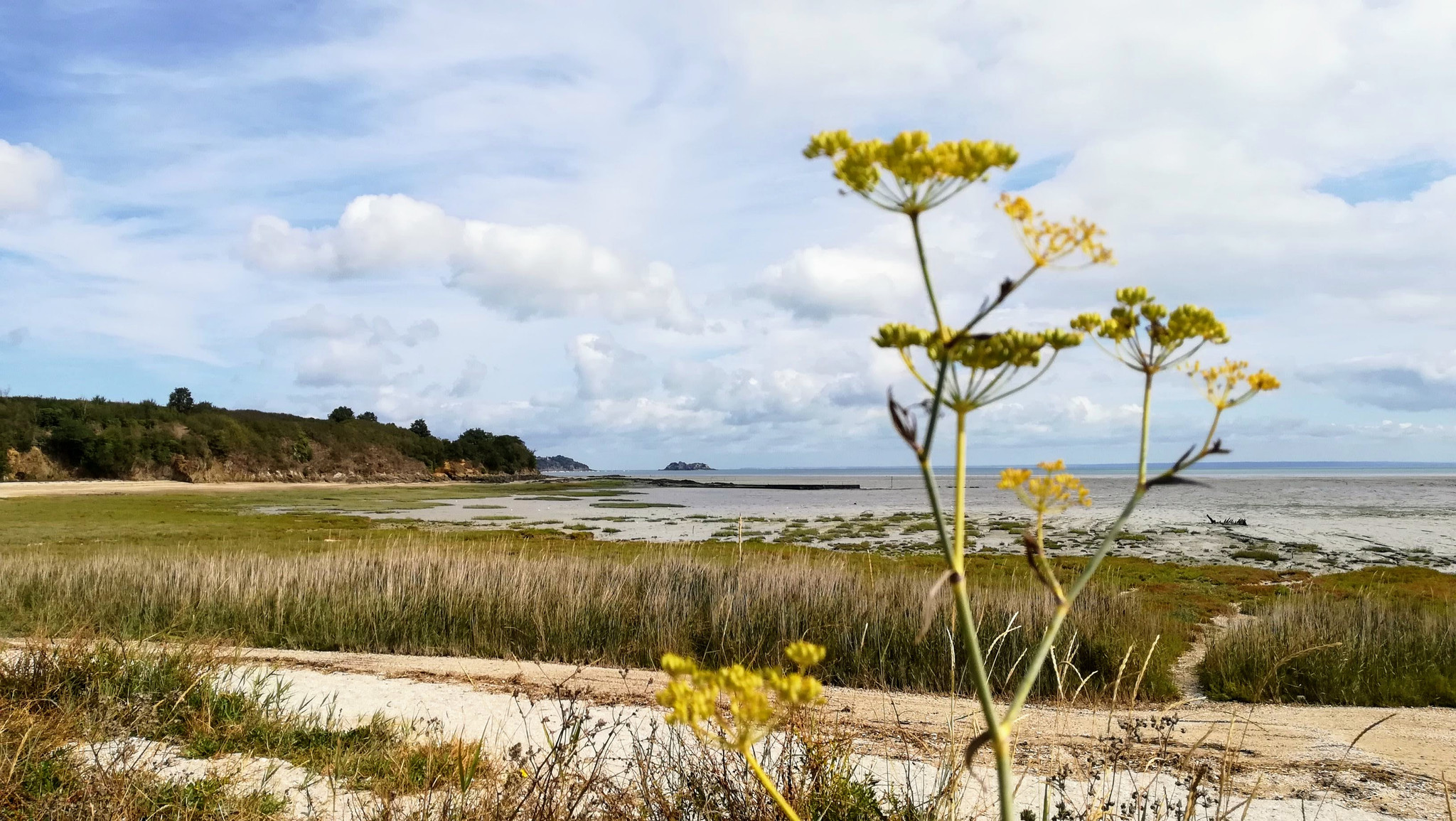Randonnée vers Cancale entre grève et falaise
