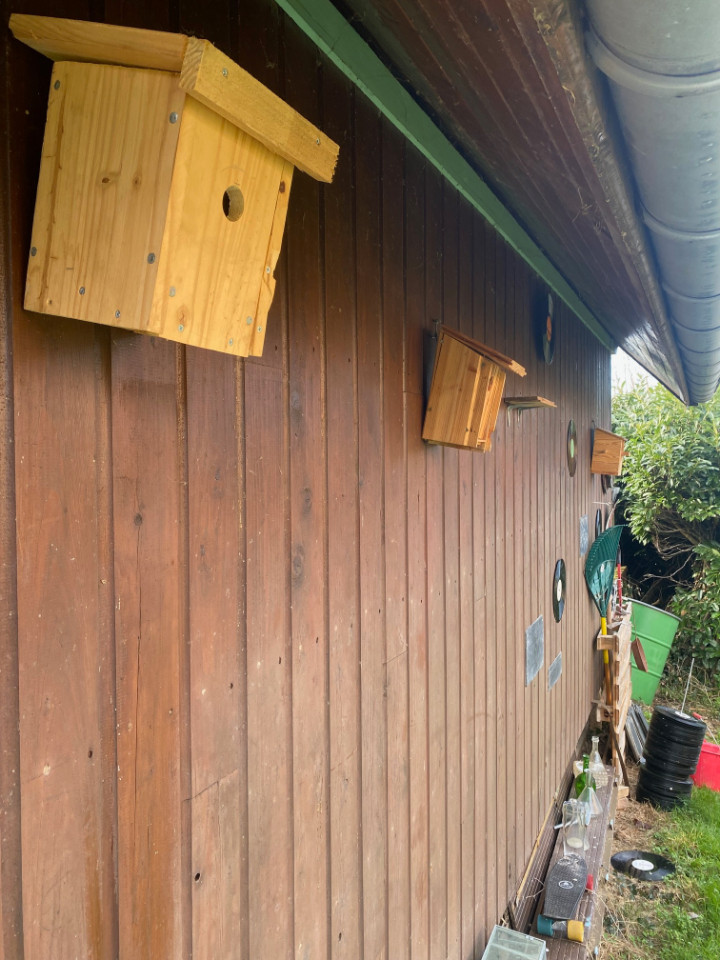 bricolage et woofing