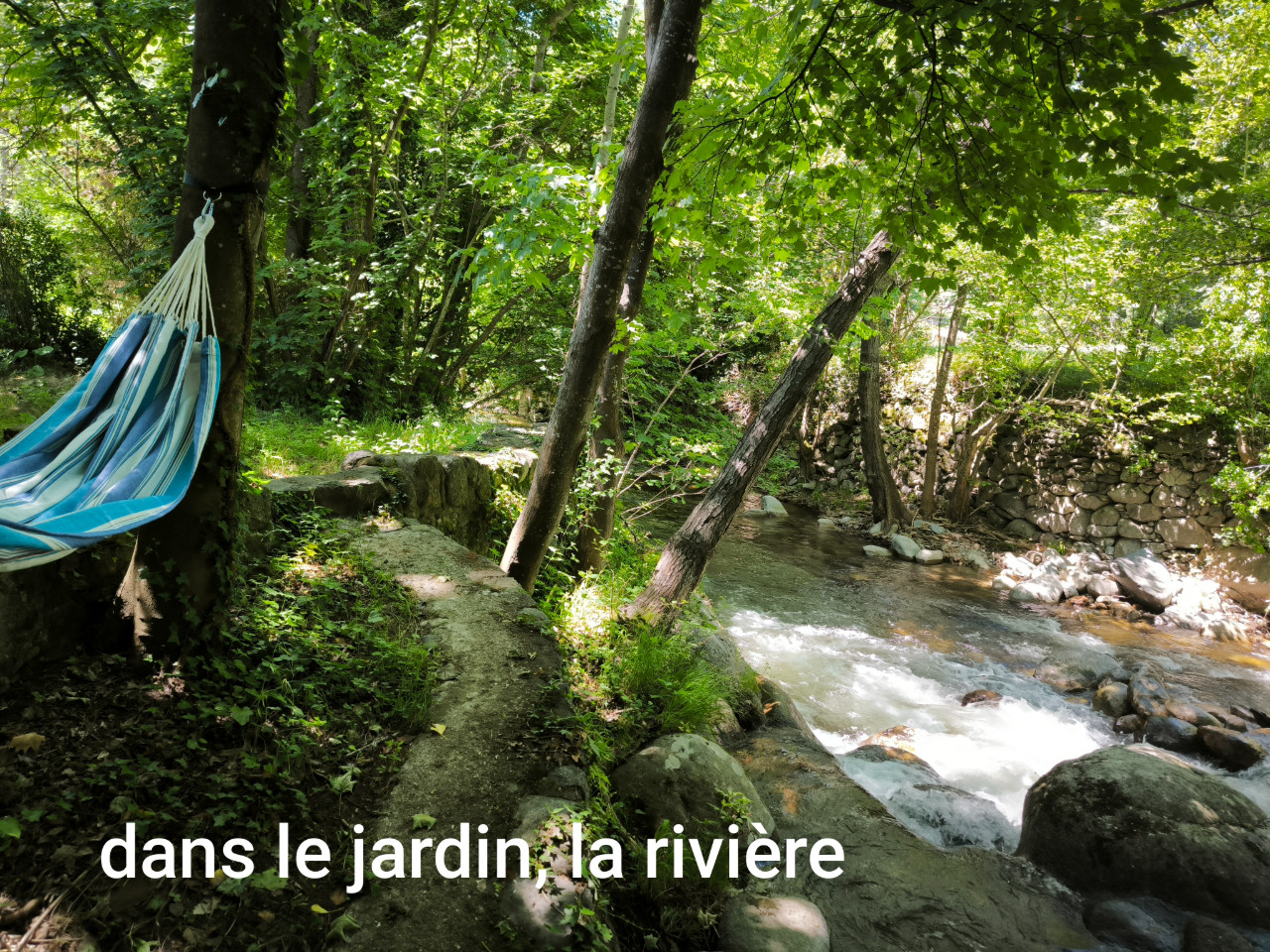 Au bord de la rivière la Castellane, vous serez bercé par le rythme le d'eau.