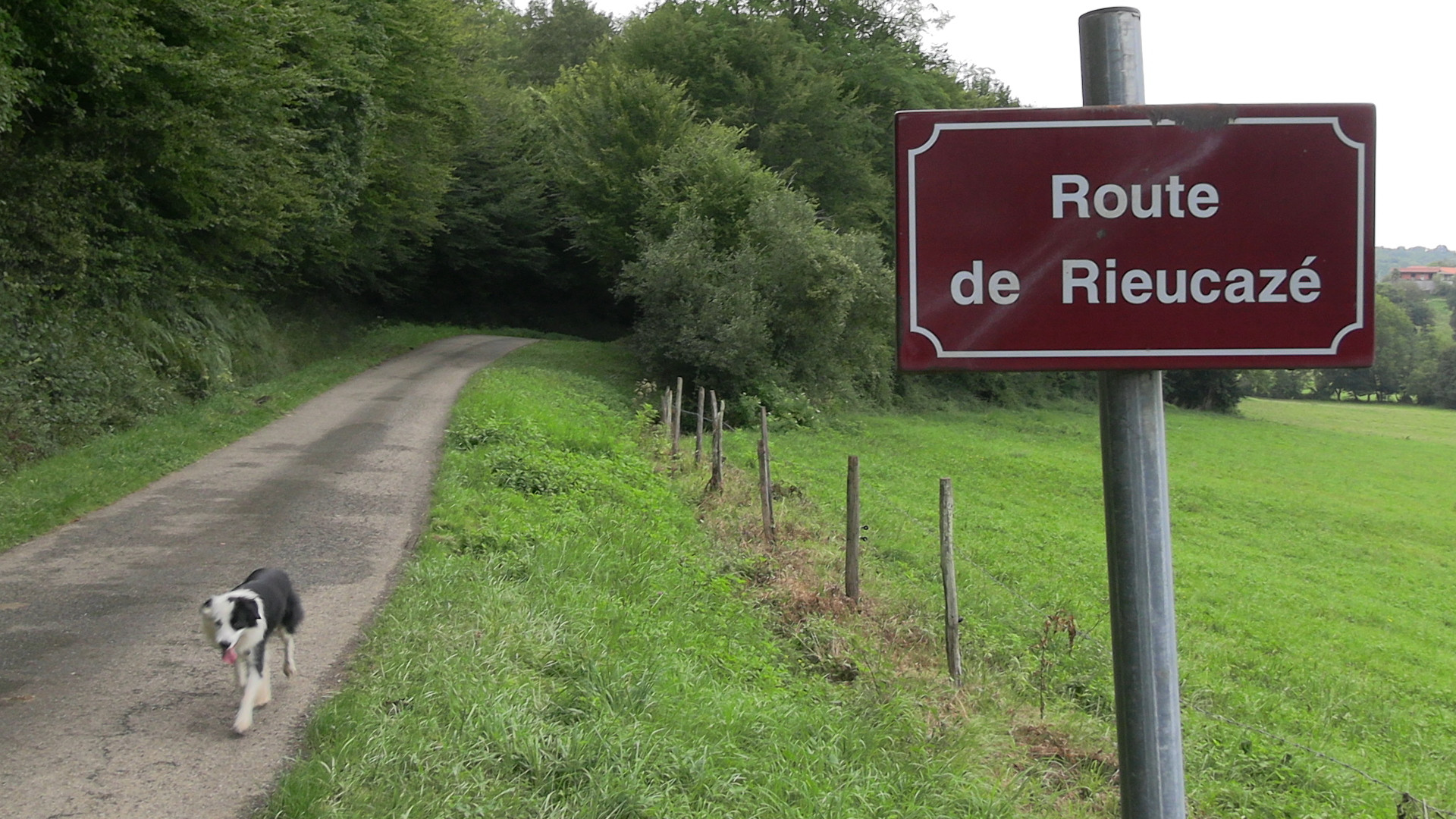 Randonnées dans la campagne depuis la Ferme des Hautins