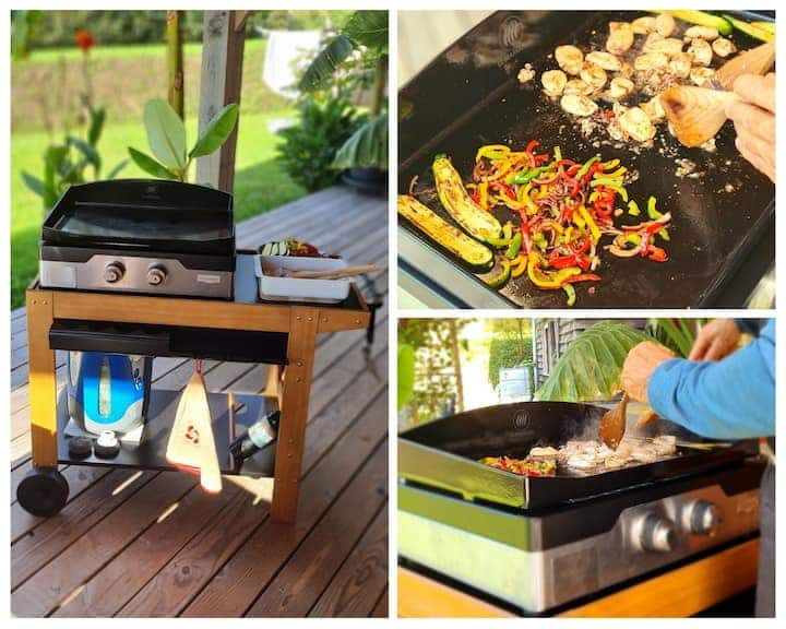 Des repas conviviaux à la plancha en terrasse