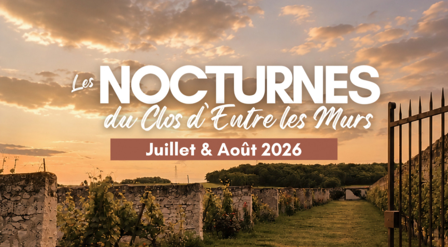 Sous les vignes de Saumur / Champigny