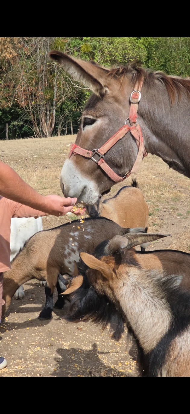 Visite de la ferme