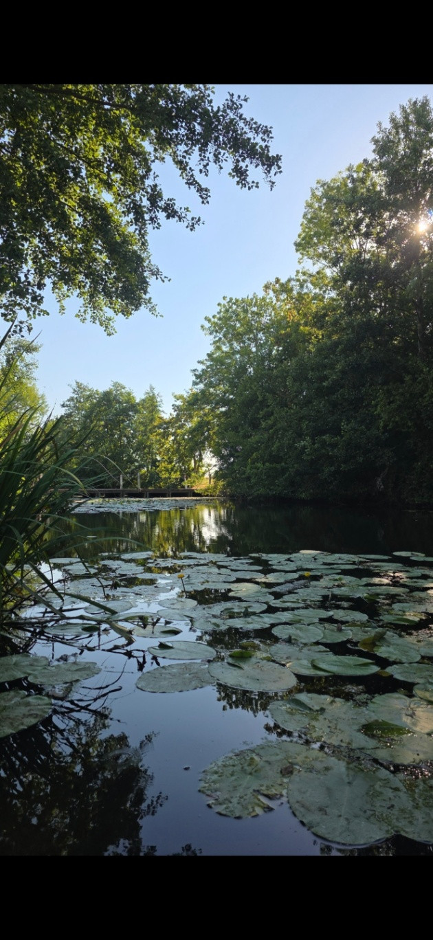 Au fil de l'eau