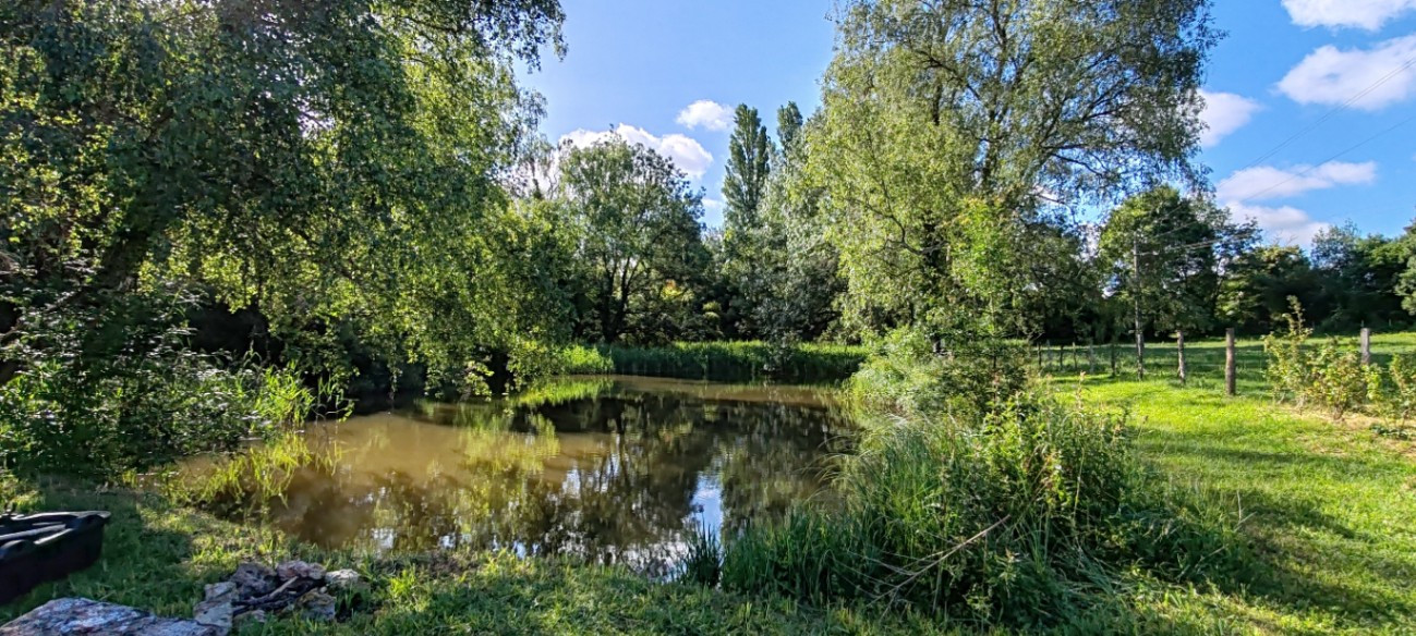 Immersion en pleine nature