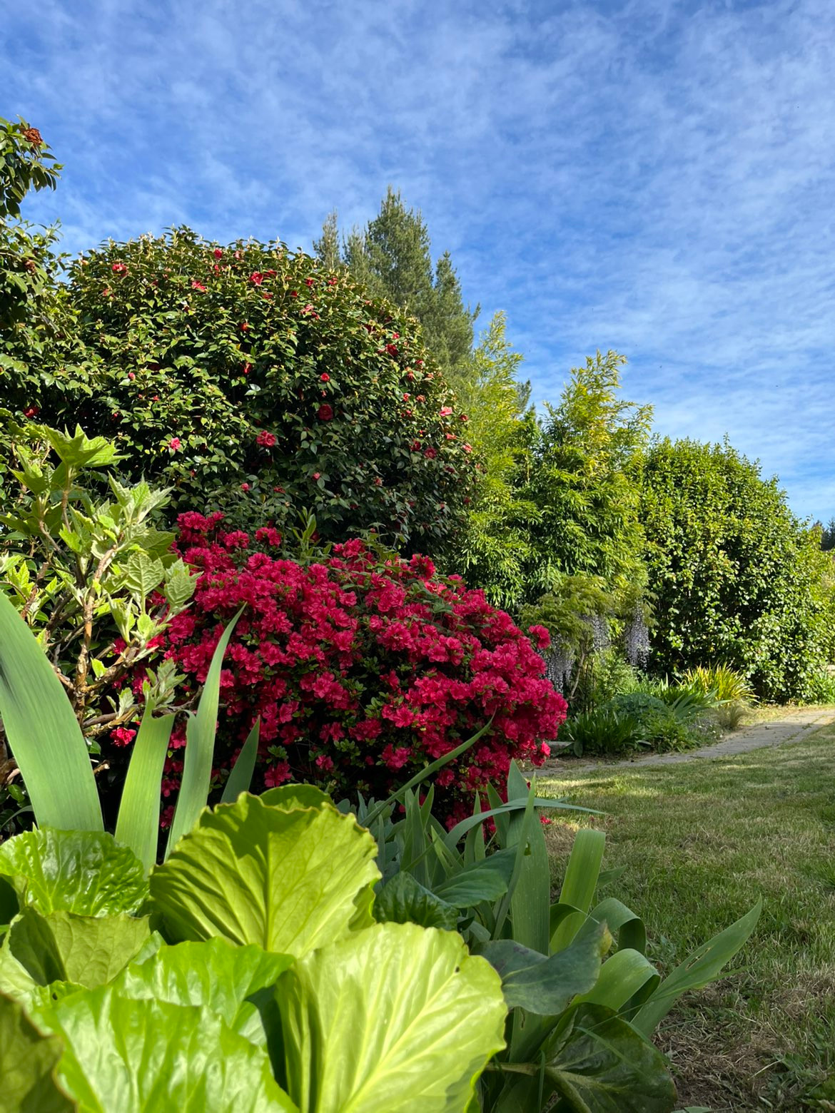 Au coeur d'un jardin fleuri