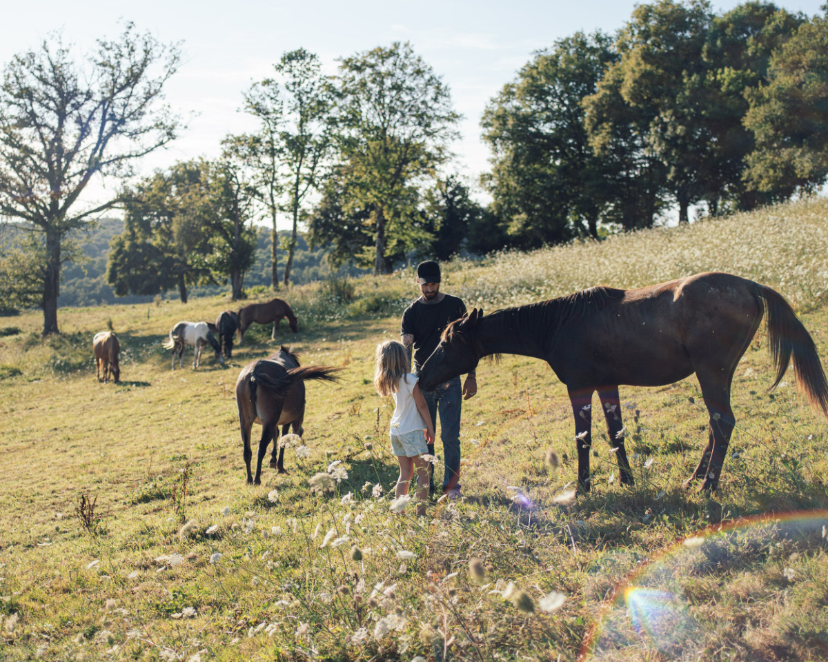 Découvrez le cheval autrement