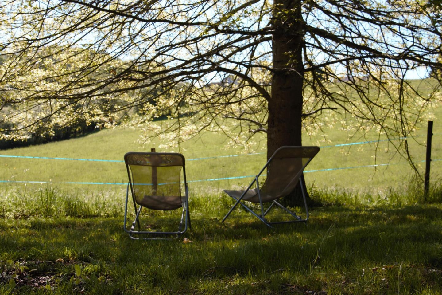 En pleine nature au départ de randonnée
