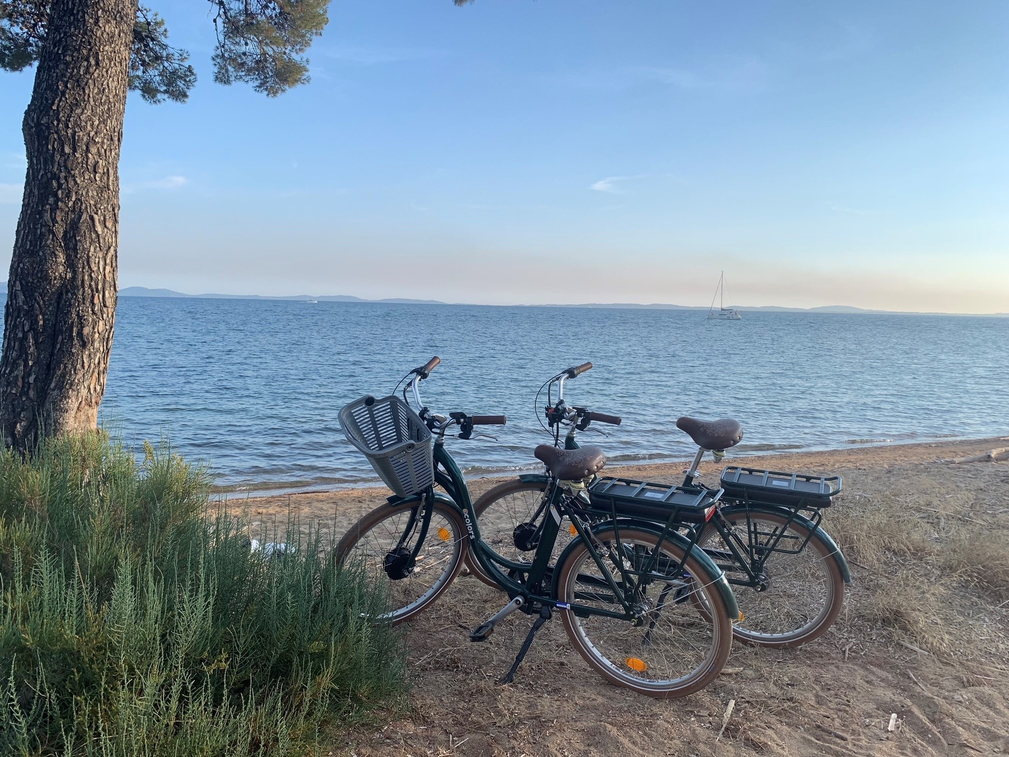 Location de vélo (offert pour les personnes venant sans voiture)