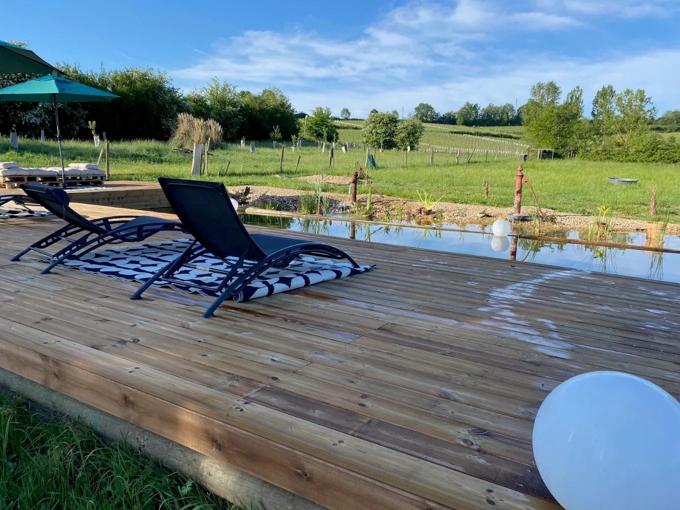 Piscine naturelle et un étang