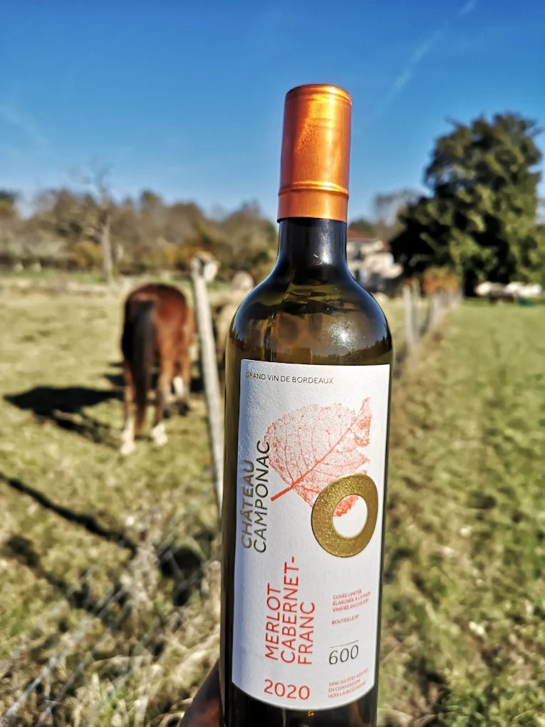 Atelier de découverte : Viticulture et Oléiculture