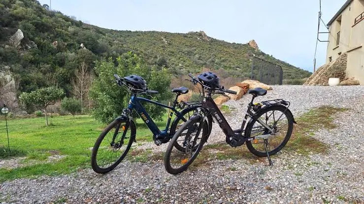 Vélos à assistance électrique sur place