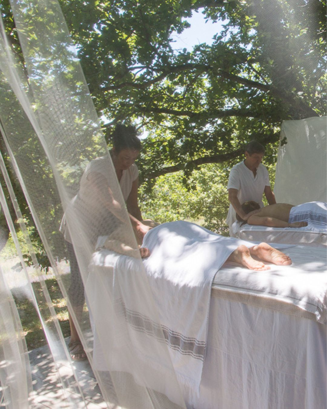 Massage au coeur des lavandes