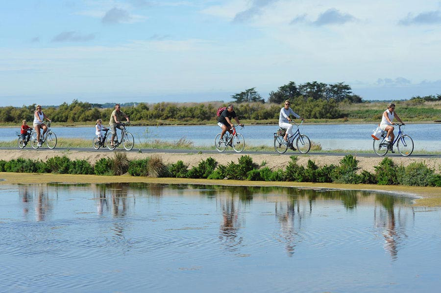 Visiter les marais salants à vélos grace aux pistes cyclables