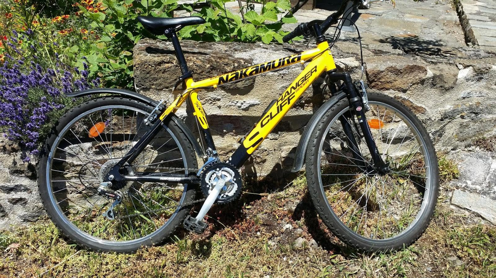 Prêt gratuit de vélos adultes (3 vélos en bon état type VTT)
