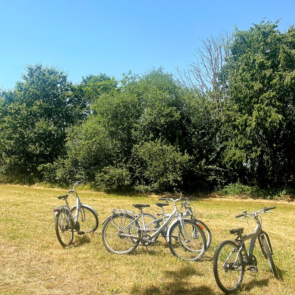 16 vélos à disposition pour explorer le Perche