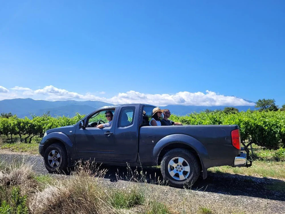 Visite du vignoble et dégustation