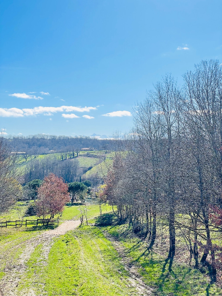 Vue imprenable sur les Pyrénées