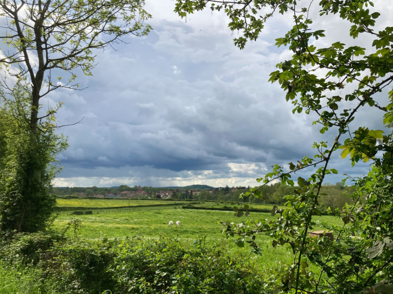 Etape sur le GR 213A Fontenay-Vézelay