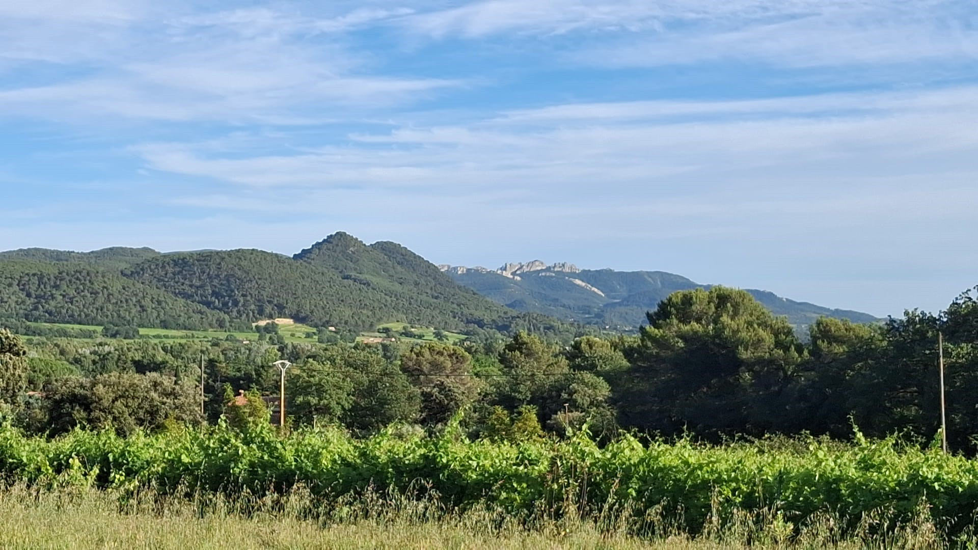 seul au cœur de 5 ha de vignes et pinéde
