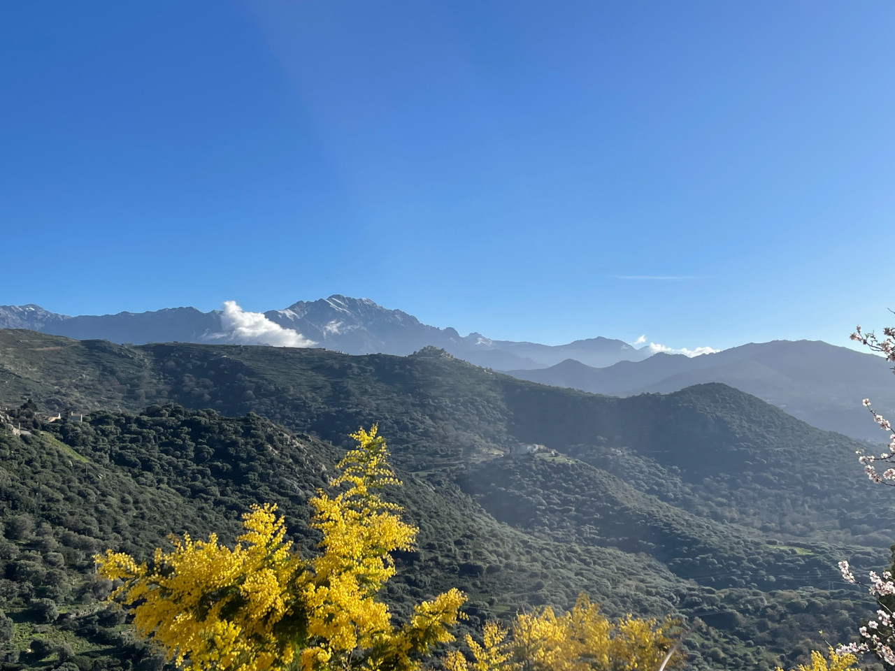 Face aux montagnes, en bord de mer