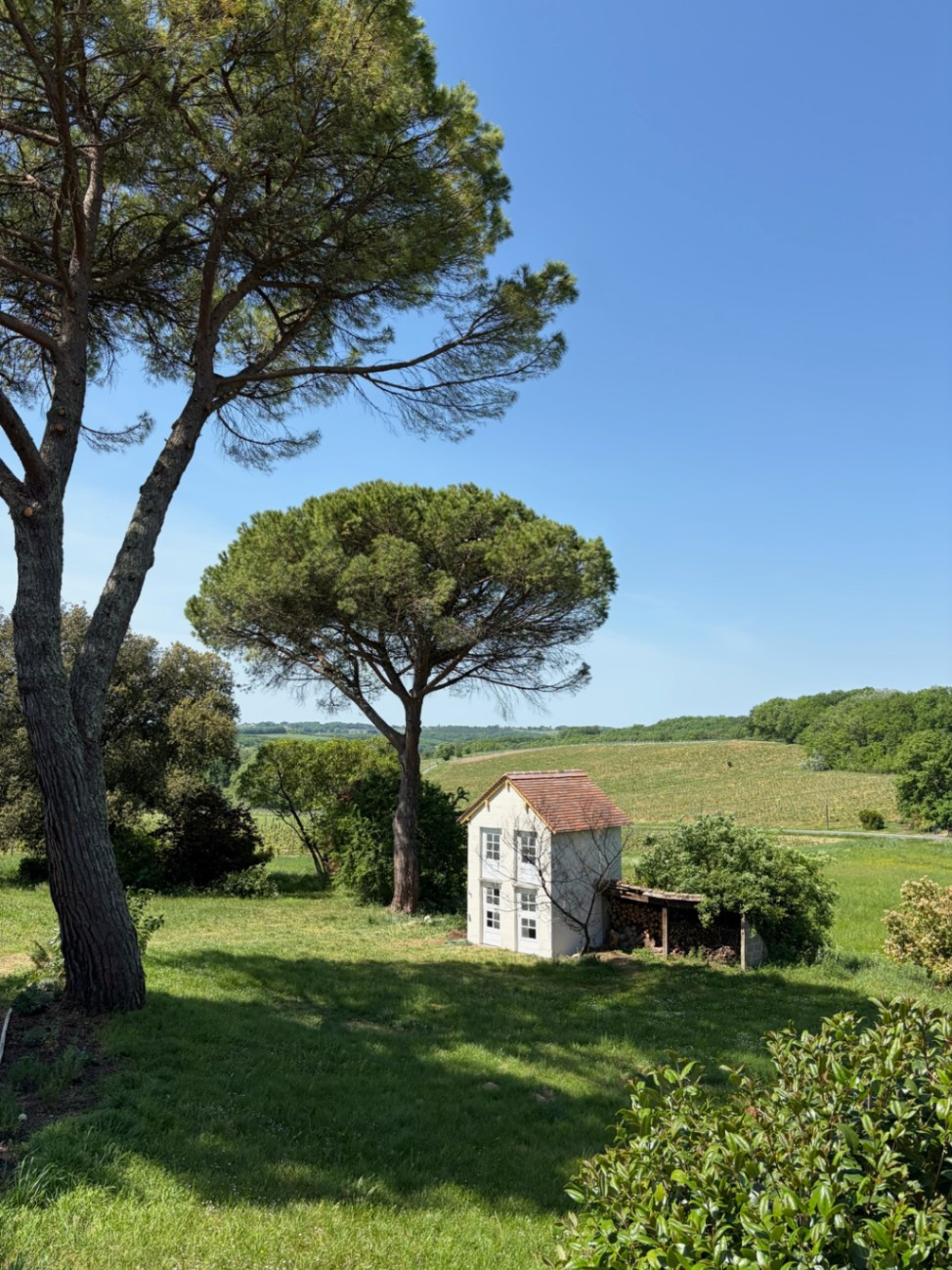 Vues remarquables sur les vignes et les côteaux