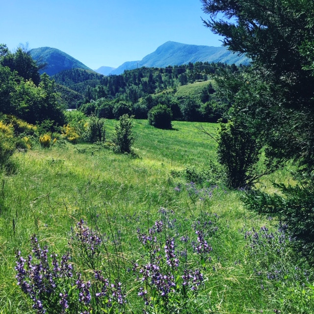 Au coeur de la Vallée du Jabron, Parc des Baronnies Provençales, Natura 2000 montagne de Lure, Géoparc de Haute-Provence