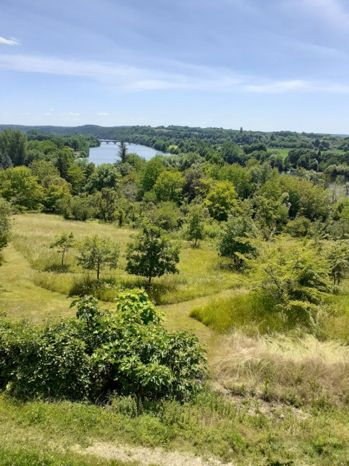 Entre forêt et Dordogne