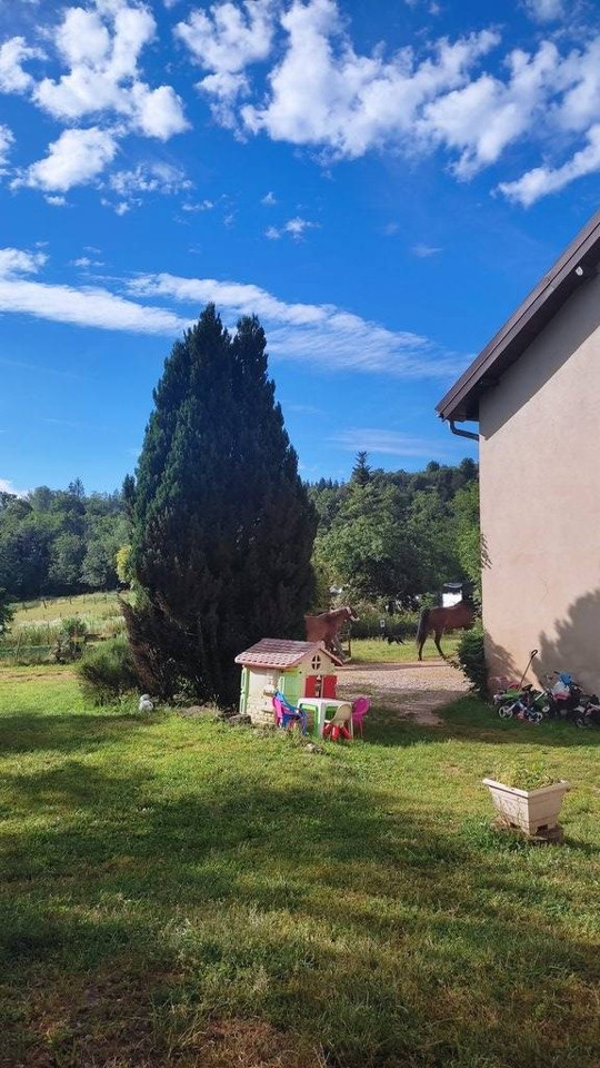 La ferme et ses animaux