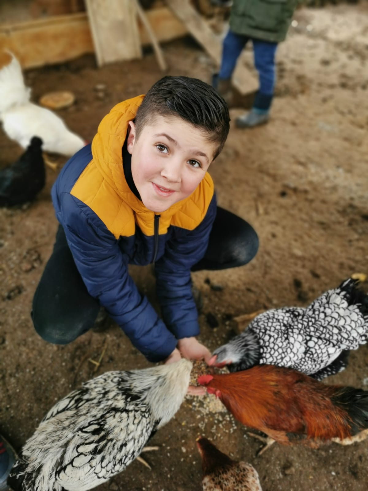 Tour des animaux journalier (sauf dimanche) pour l