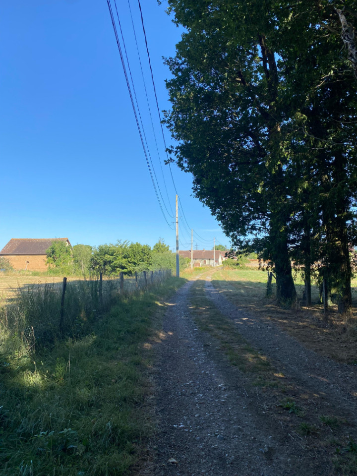 En pleine campagne