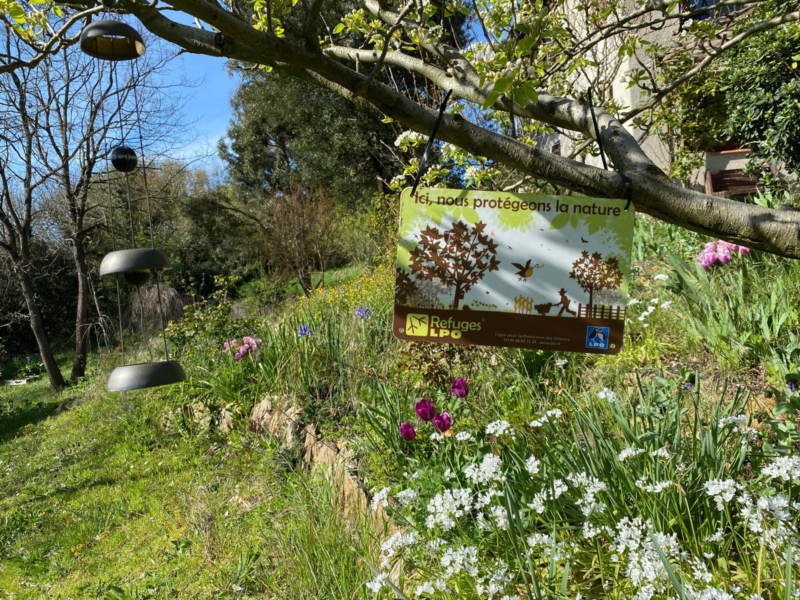profitez de moments de détente et des produits que nous offre notre jardin