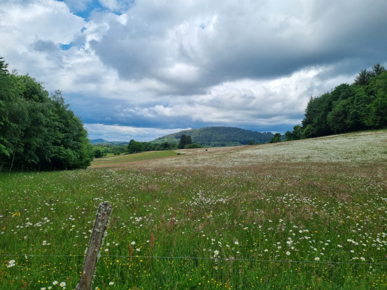 Roulotte avec vue sur la montagne limousine
