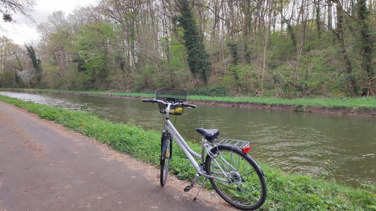 Location de vélos