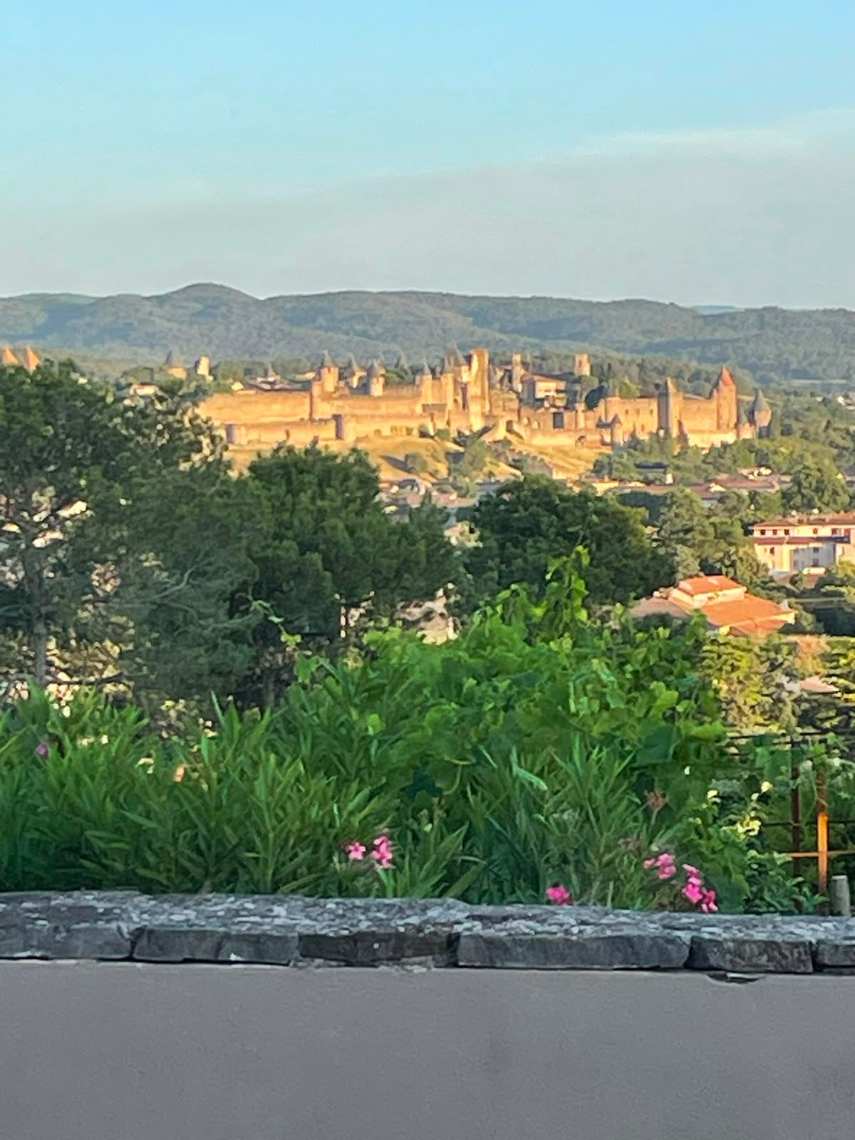 Balnéo avec vue imprenable sur la Cité médiévale
