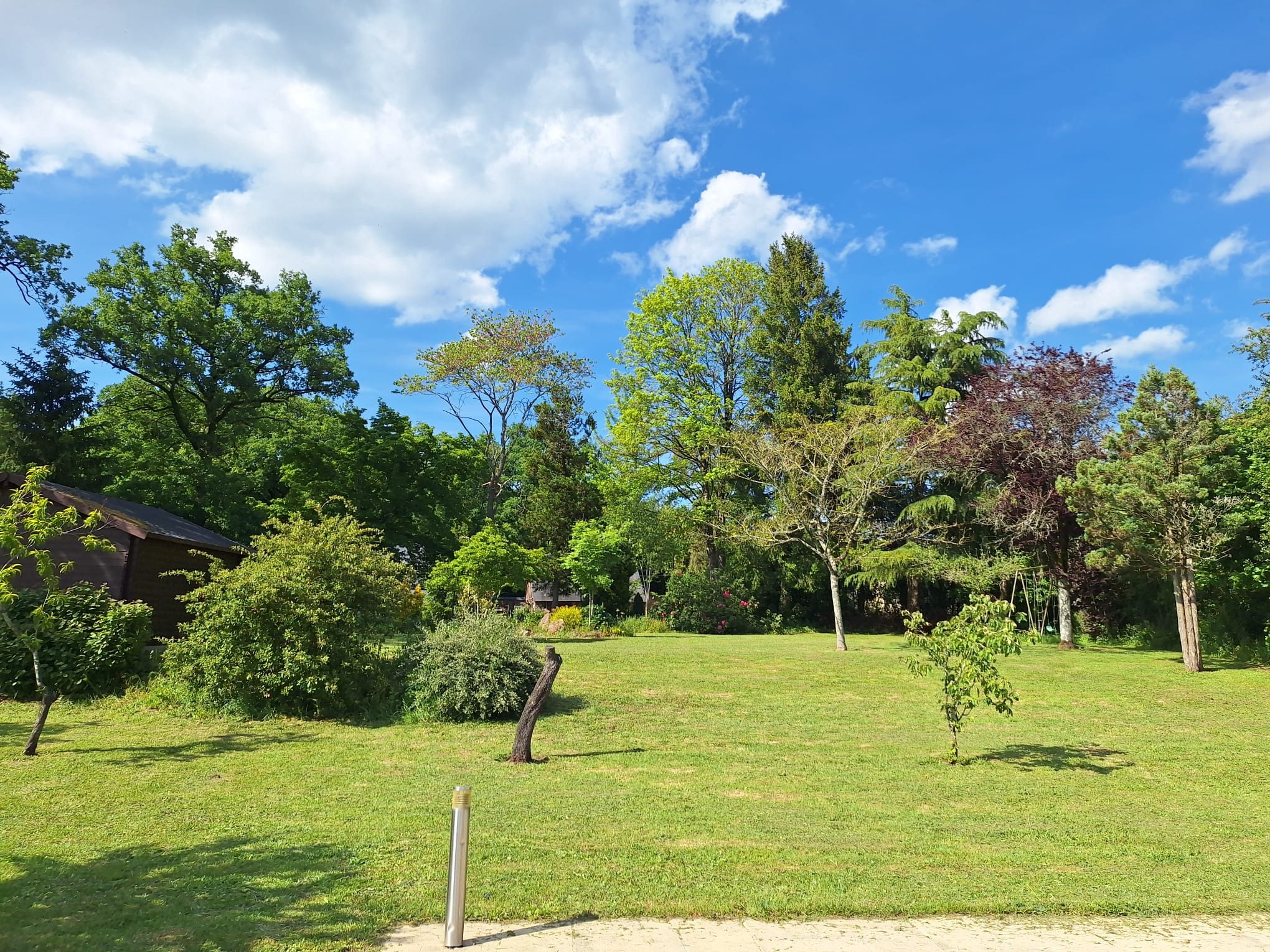 jardin romantique et naturel plein de surprises