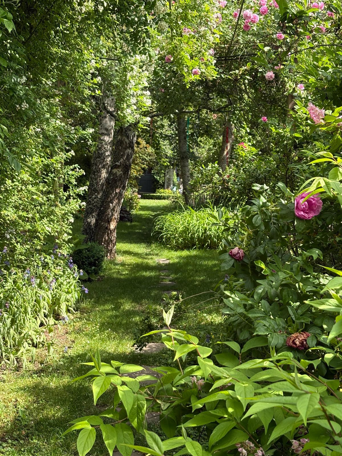 Notre jardin naturel de moyenne montagne