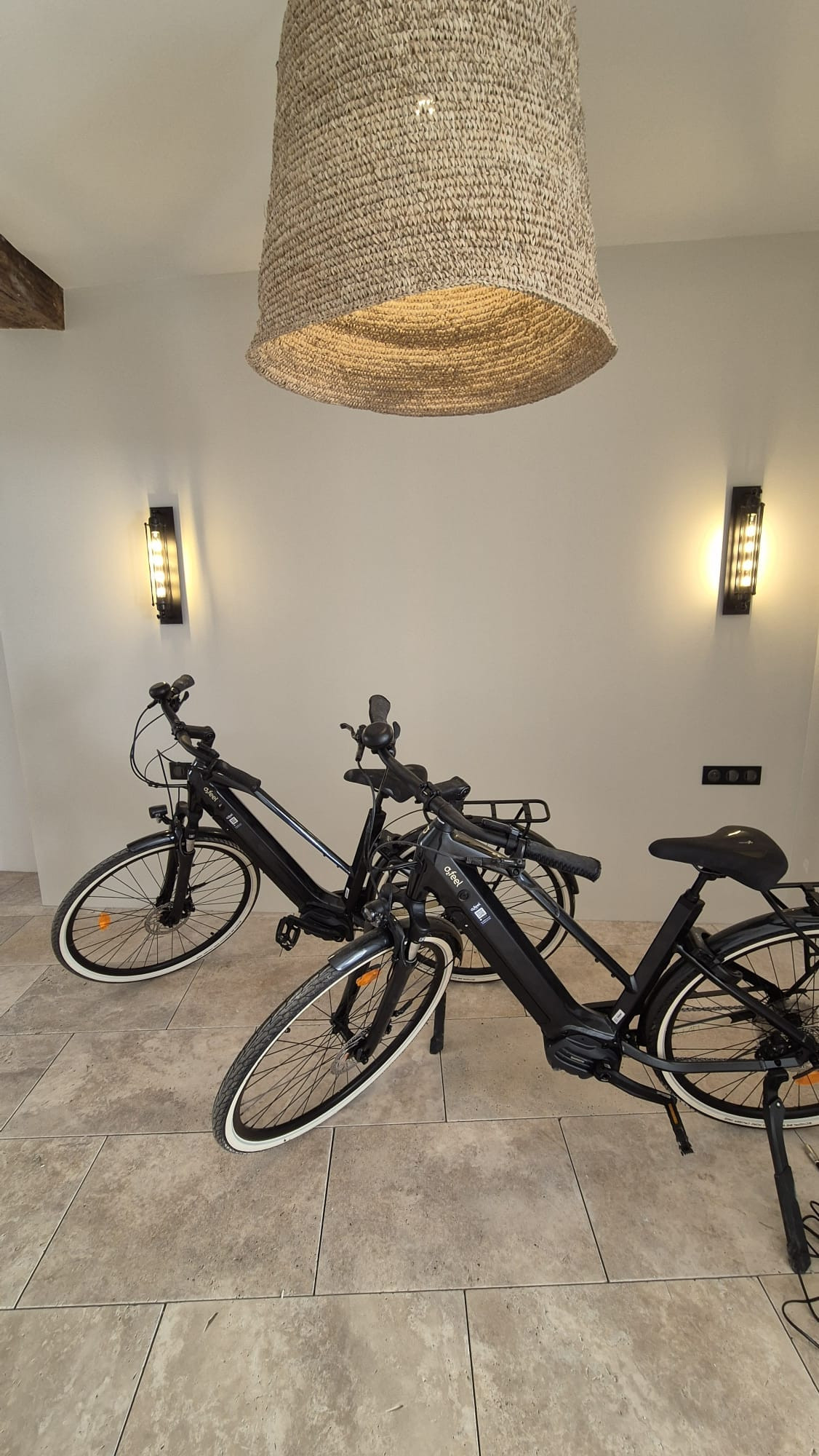 Location de vélos Electrique