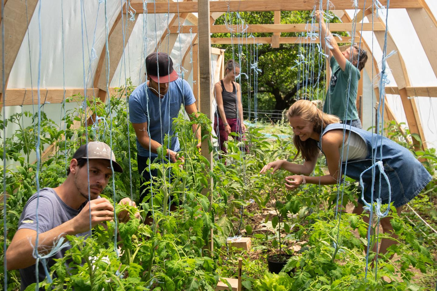 Micro-ferme et ateliers permacoles