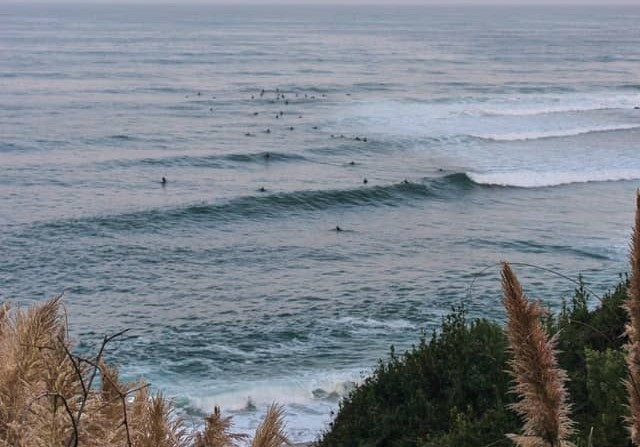 GreenGo - Location vacances à la mer en Aquitaine
