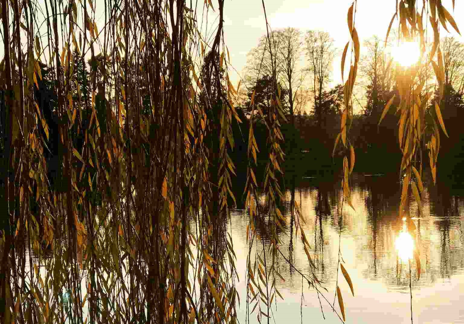 GreenGo - Location dans l'Allier