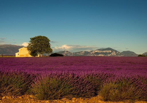 GreenGo - Camping dans les Alpes-de-Haute-Provence