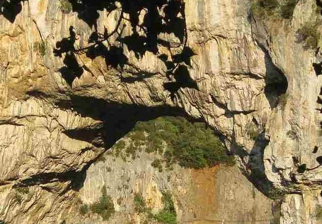 GreenGo - Vacances famille nombreuse en Ardèche